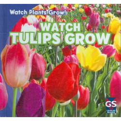 Watch Tulips Grow