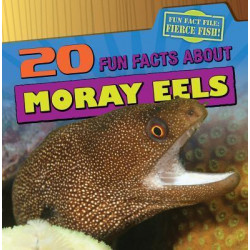 20 Fun Facts about Moray Eels