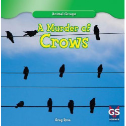 A Murder of Crows