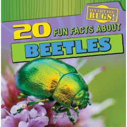 20 Fun Facts about Beetles