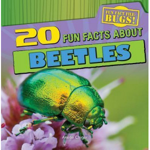 20 Fun Facts about Beetles