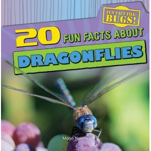 20 Fun Facts about Dragonflies