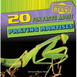 20 Fun Facts about Praying Mantises