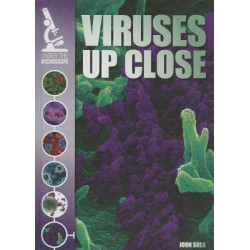 Viruses Up Close