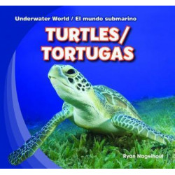 Turtles / Tortugas