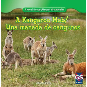 A Kangaroo Mob/Una Manada de Canguros