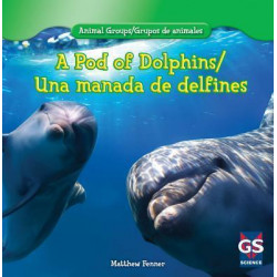 A Pod of Dolphins / Una Manada de Delfines
