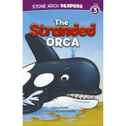 The Stranded Orca