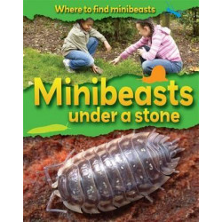 Where to Find Minibeasts: Minibeasts Under a Stone