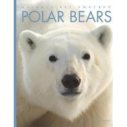 Animals Are Amazing: Polar Bears