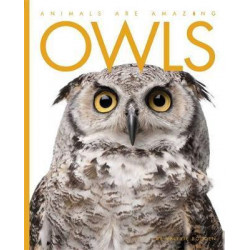 Animals Are Amazing: Owls