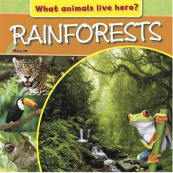 What Animals Live Here?: Rainforests