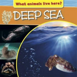 What Animals Live Here?: Deep Sea