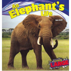 An Elephant's Life