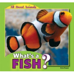 What's a Fish?