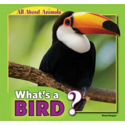 What's a Bird?