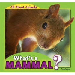 What's a Mammal?