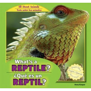 What's a Reptile? / Que Es Un Reptil?