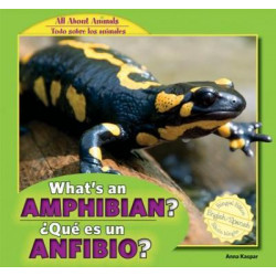 What's an Amphibian? / Que Es Un Anfibio?