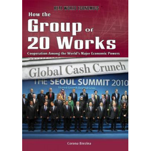 How the Group of 20 Works