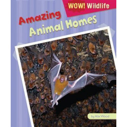 Amazing Animal Homes