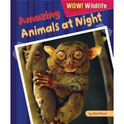 Amazing Animals at Night