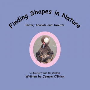 Finding Shapes in Nature