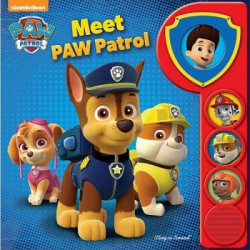 PAW Patrol Custom Frame