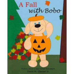 A Fall with Bobo