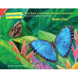 How Does a Caterpillar Become a Butterfly?
