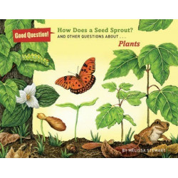 How Does a Seed Sprout?