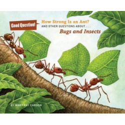 How Strong Is an Ant?
