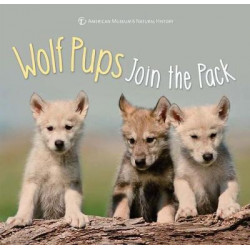 Wolf Pups Join the Pack