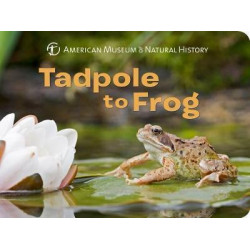 Tadpole to Frog