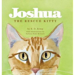 Joshua the Rescue Kitty