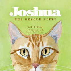 Joshua the Rescue Kitty