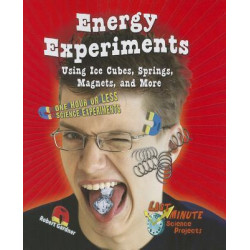 Energy Experiments Using Ice Cubes, Springs, Magnets, and More