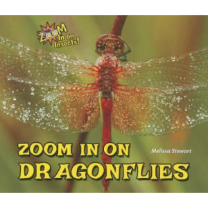 Zoom in on Dragonflies