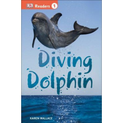 Diving Dolphin