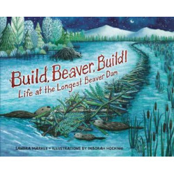 Build, Beaver, Build!