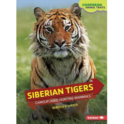 Siberian Tigers