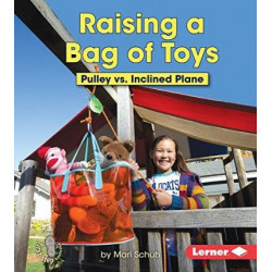 Raising a Bag of Toys