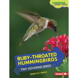 Ruby-Throated Hummingbirds