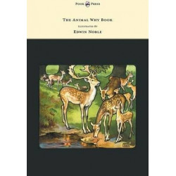 The Animal Why Book - Pictures by Edwin Noble