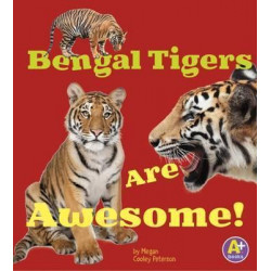 Bengal Tigers Are Awesome!