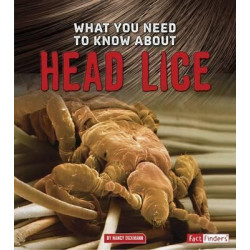 What You Need to Know about Head Lice