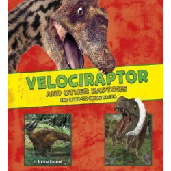 Velociraptor and Other Raptors