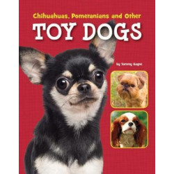Chihuahuas, Pomeranians and Other Toy Dogs