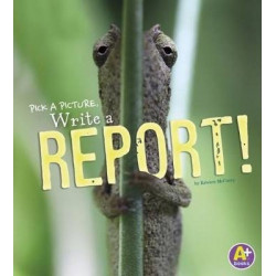A Report