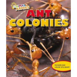 Ant Colonies